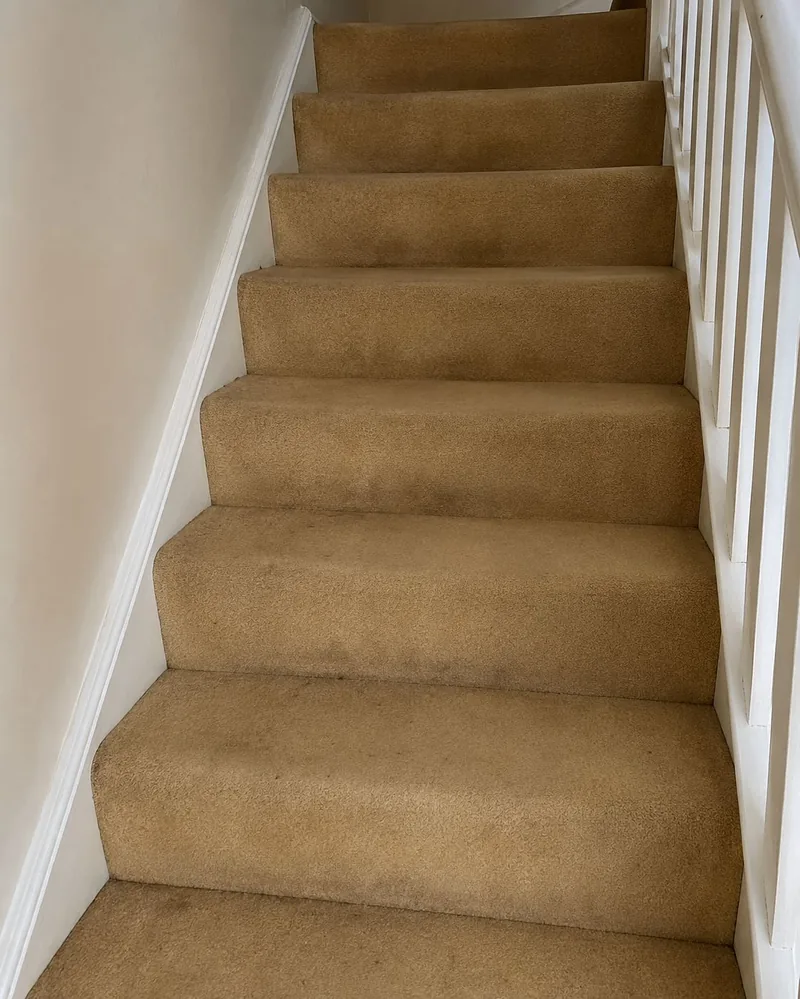 Before: Tan Carpet