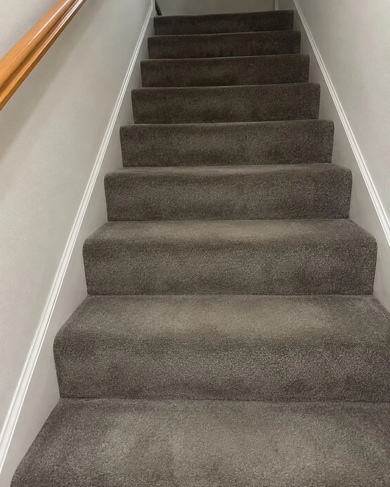 Before: Brown Carpet